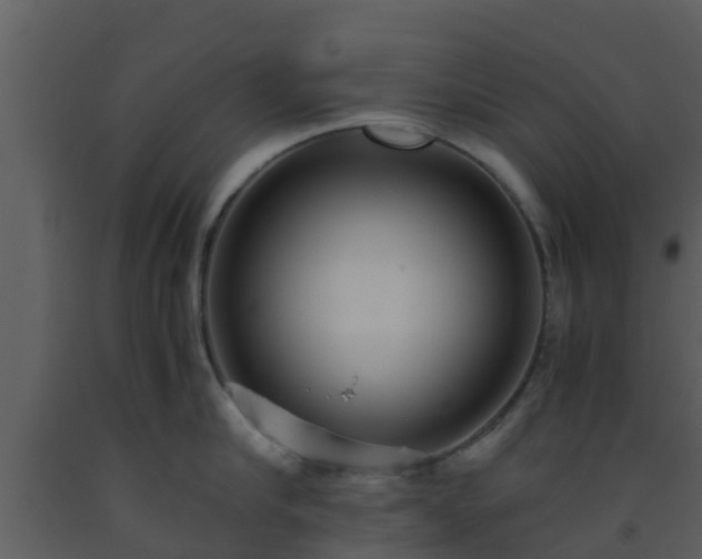 X0000093530910200710191351