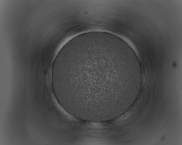 X0000093530911200710191351