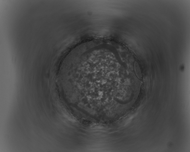 X0000093530913200710191350