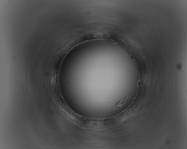 X0000093530914200710191350