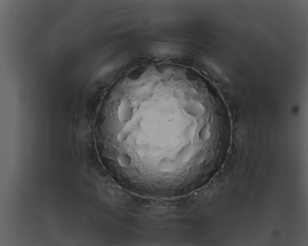 X0000093530917200710191350