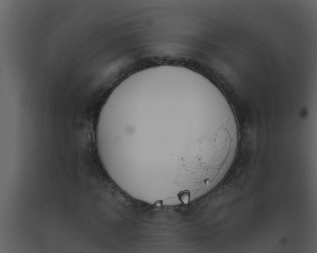 X0000093530918200710191350