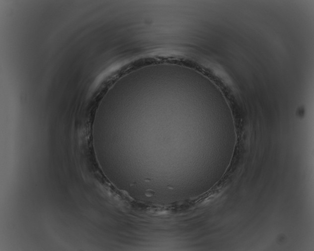 X0000093530920200710191350