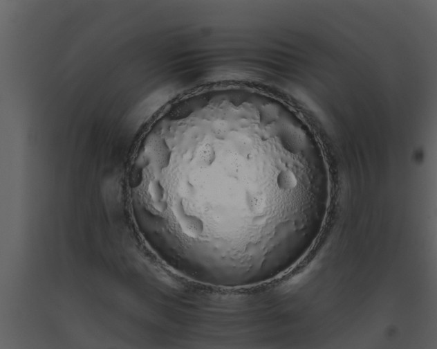 X0000093530921200710191350