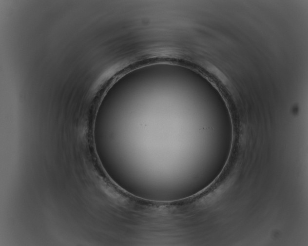 X0000093530922200710191350