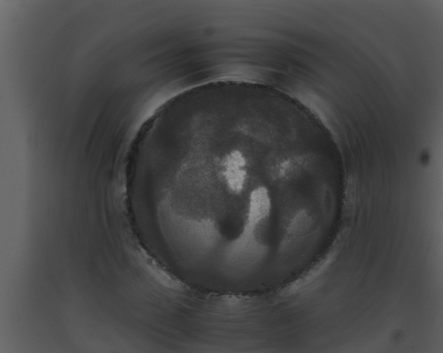 X0000093530923200710191350