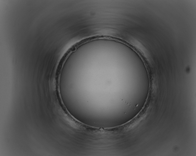 X0000093530924200710191350