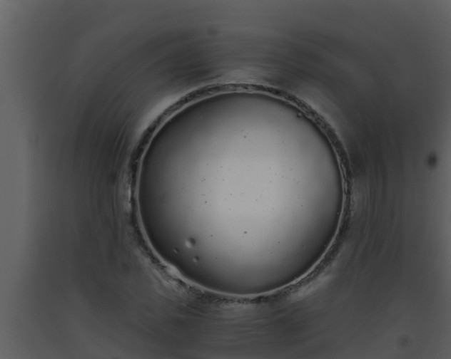 X0000093530925200710191350