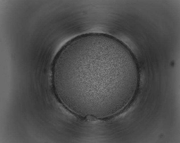 X0000093530926200710191350