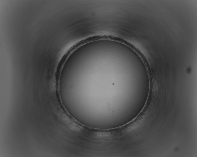 X0000093530927200710191350