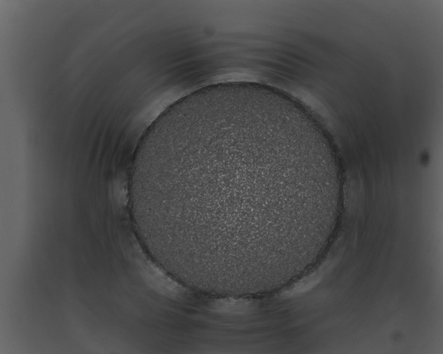 X0000093530929200710191350