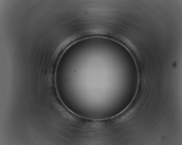X0000093530930200710191350
