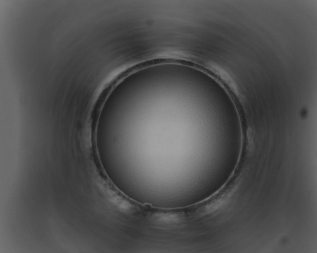 X0000093530931200710191350