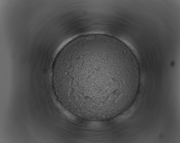 X0000093530933200710191350