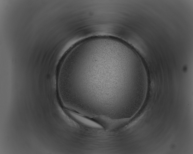 X0000093530934200710191350