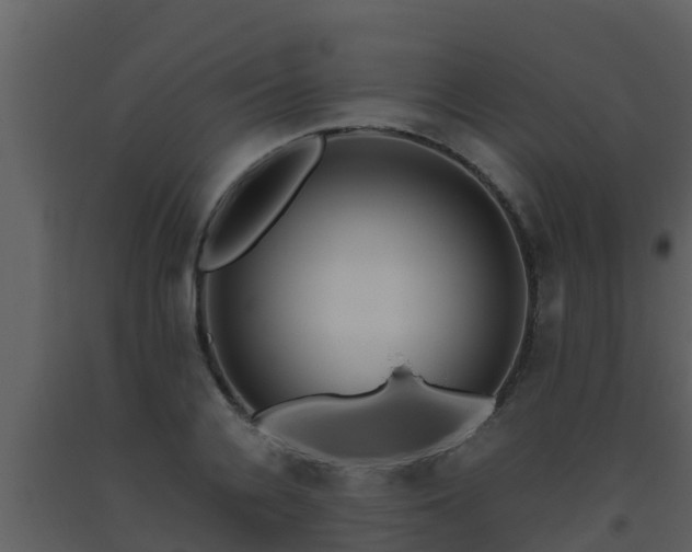 X0000093530936200710191350