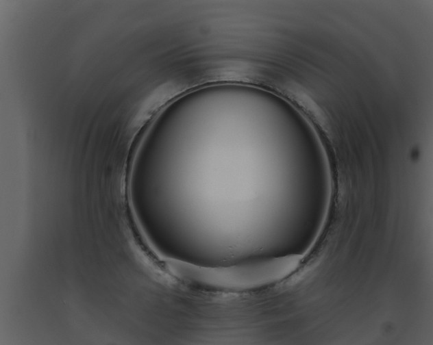 X0000093530938200710191350