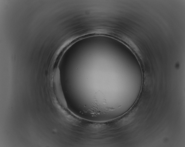 X0000093530939200710191350