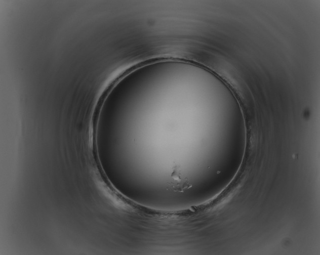 X0000093530940200710191350