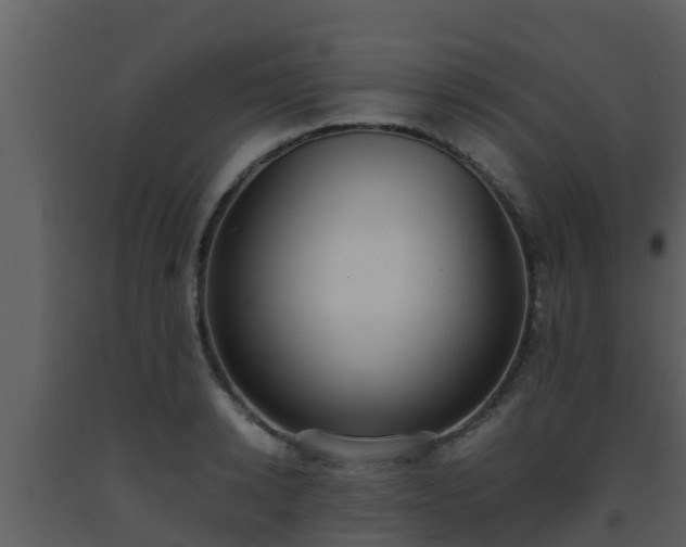 X0000093530942200710191350