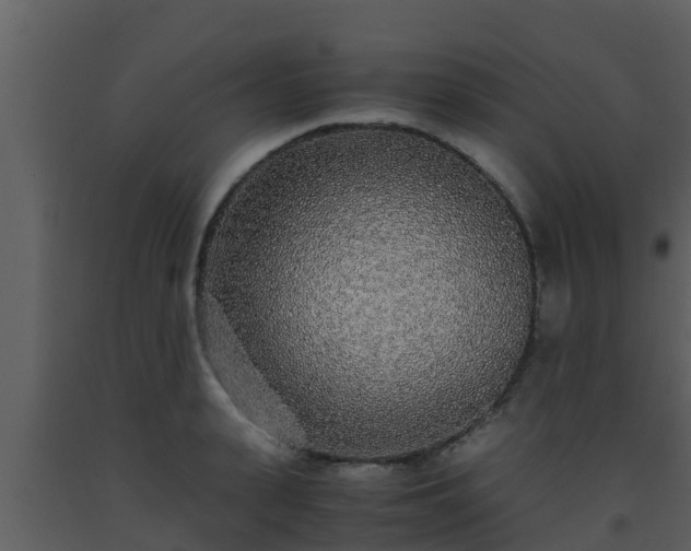 X0000093530943200710191350