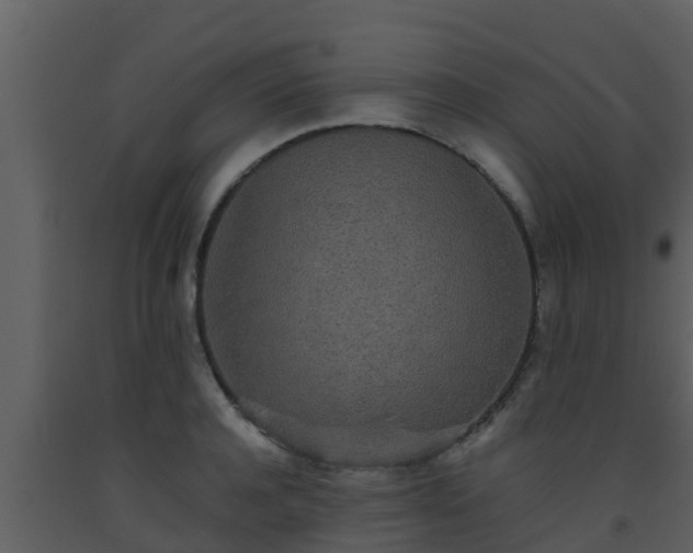 X0000093530944200710191350
