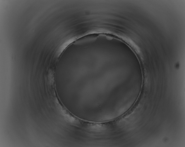X0000093530945200710191350