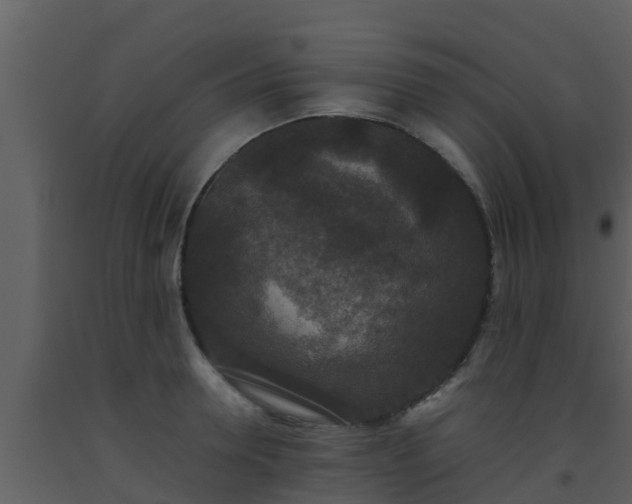 X0000093530946200710191350