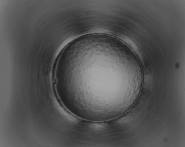 X0000093530947200710191350