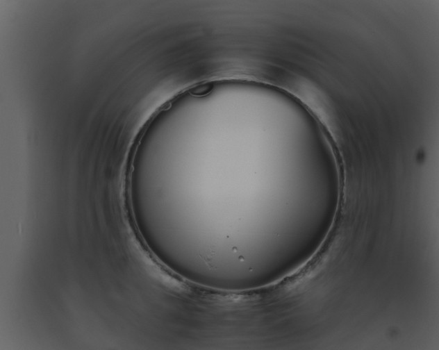 X0000093530949200710191350