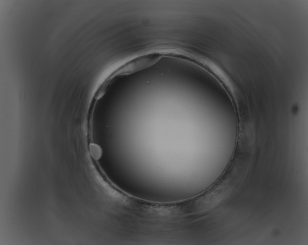 X0000093530951200710191350