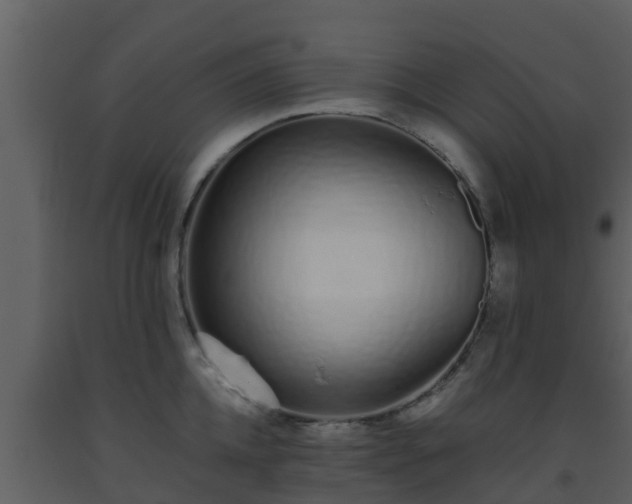 X0000093530952200710191350