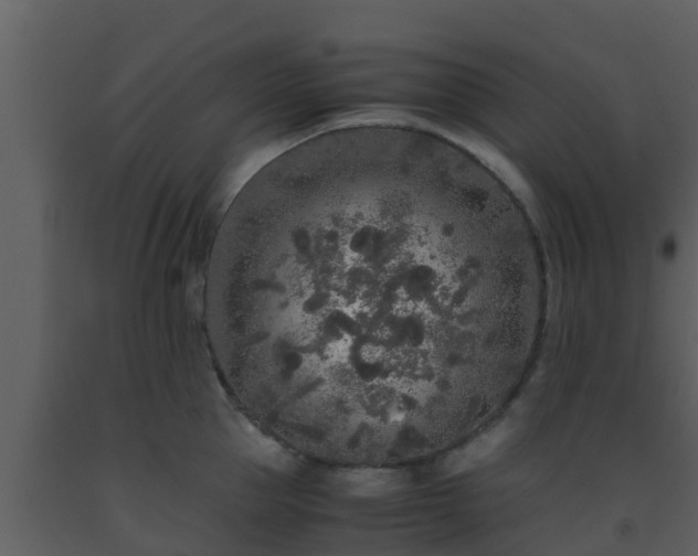 X0000093530953200710191350
