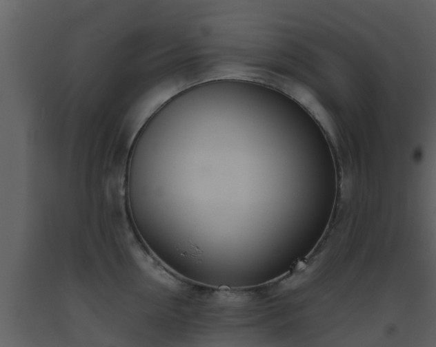 X0000093530954200710191350