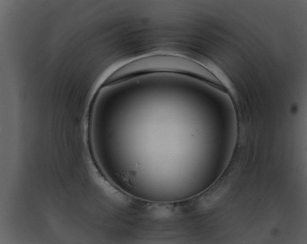 X0000093530955200710191350