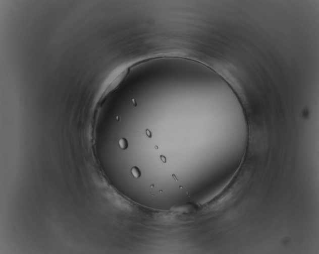 X0000093530956200710191351