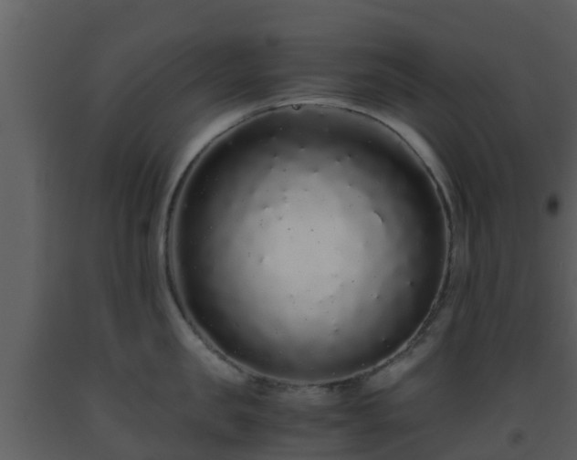 X0000093530957200710191351