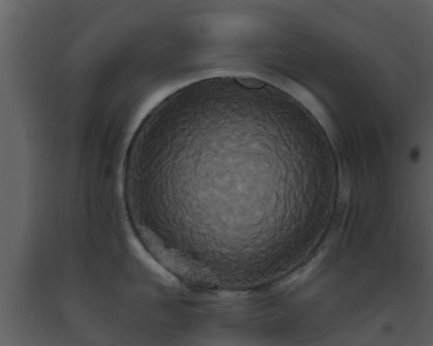 X0000093530958200710191351