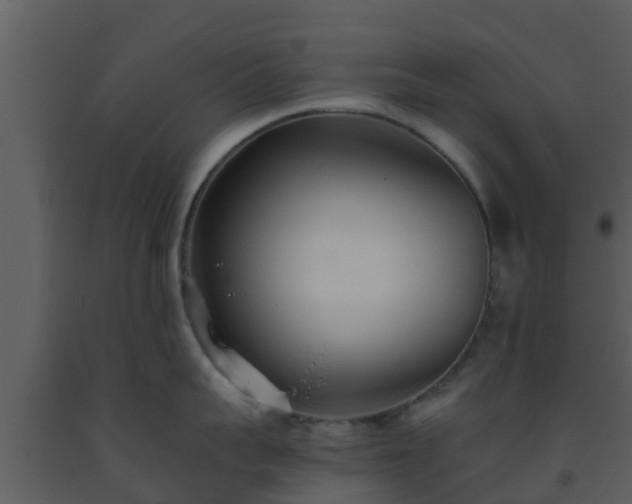X0000093530959200710191351