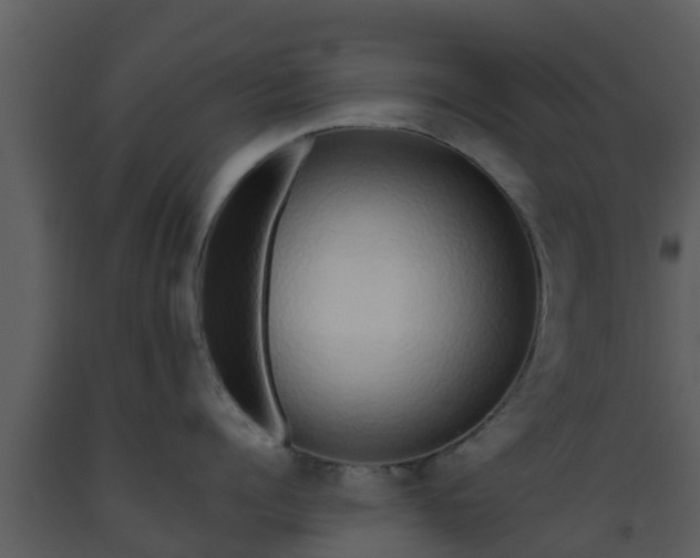 X0000093530960200710191351