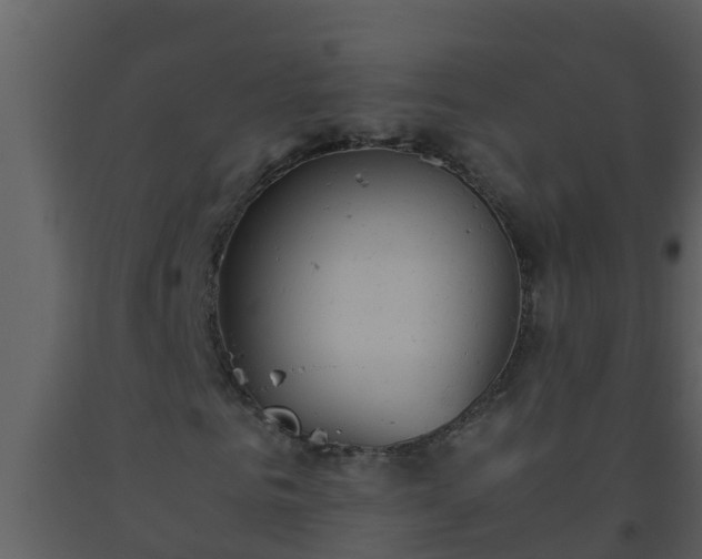 X0000093530961200710191350