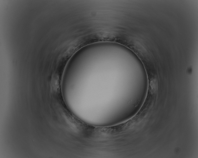 X0000093530963200710191350