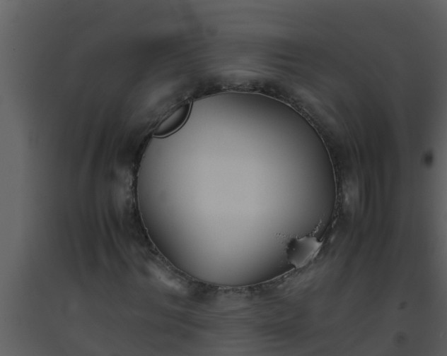 X0000093530964200710191350