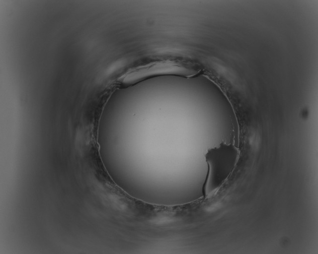X0000093530965200710191350