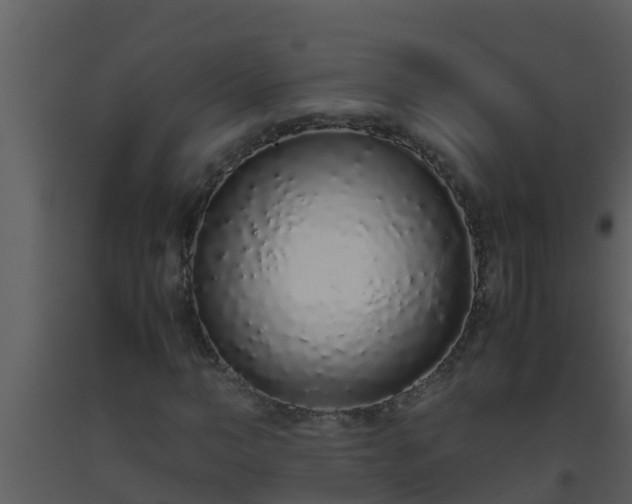 X0000093530966200710191350