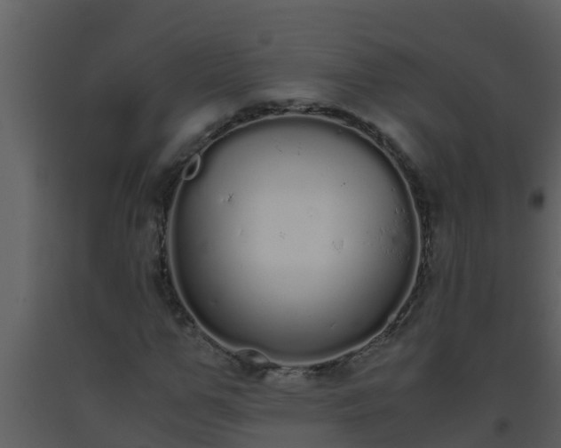 X0000093530967200710191350