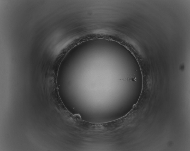 X0000093530968200710191350