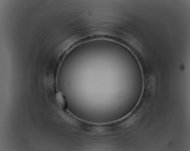 X0000093530969200710191350
