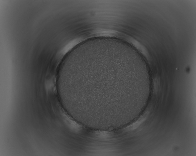 X0000093530970200710191350