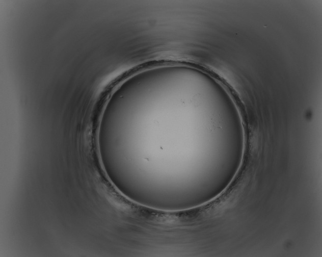 X0000093530971200710191350